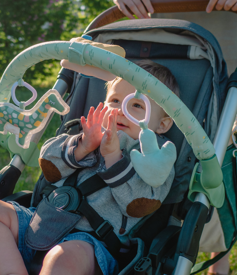 Safari universele boog